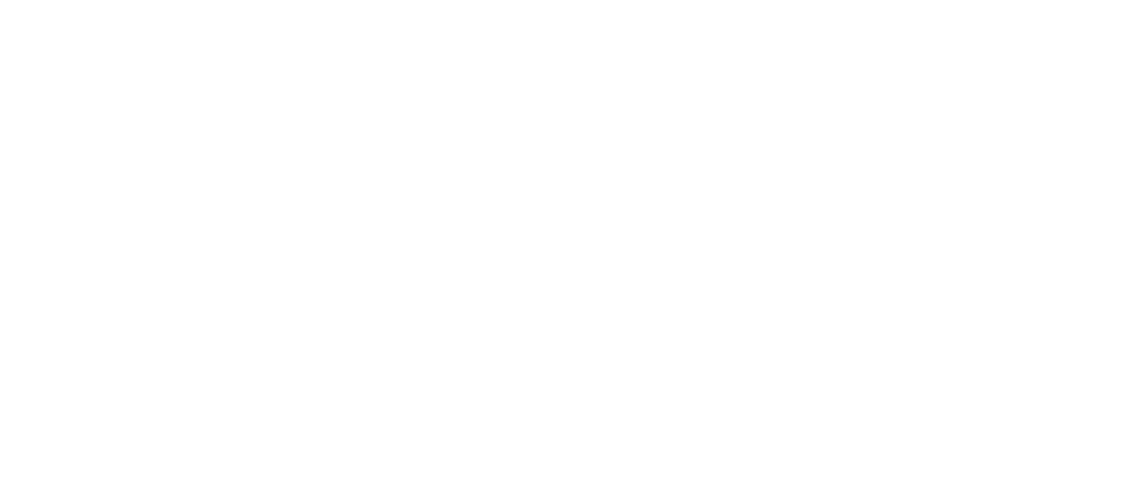 The Family Netflix