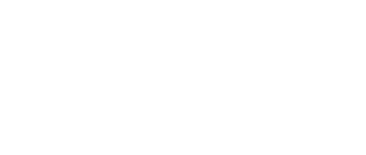 トラさん 僕が猫になったワケ Netflix