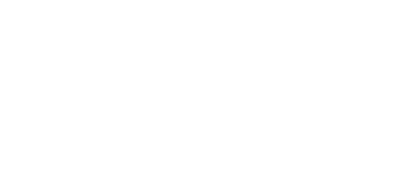 F9 the fast saga