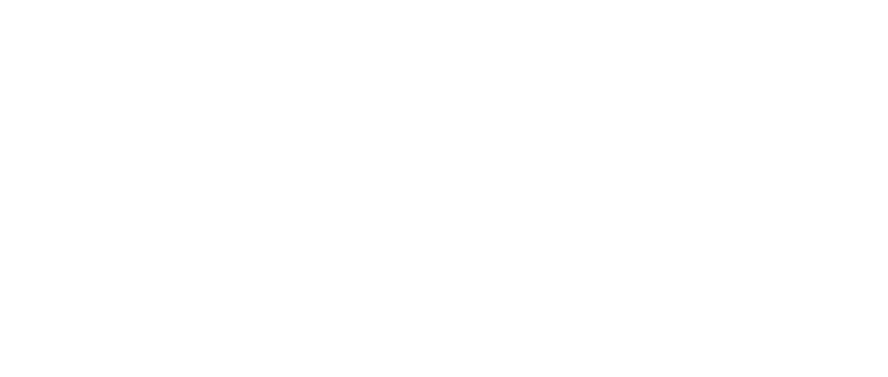 勇者 The Animation Netflix