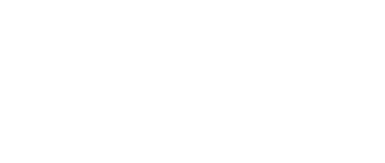 アデライン 100年目の恋 Netflix