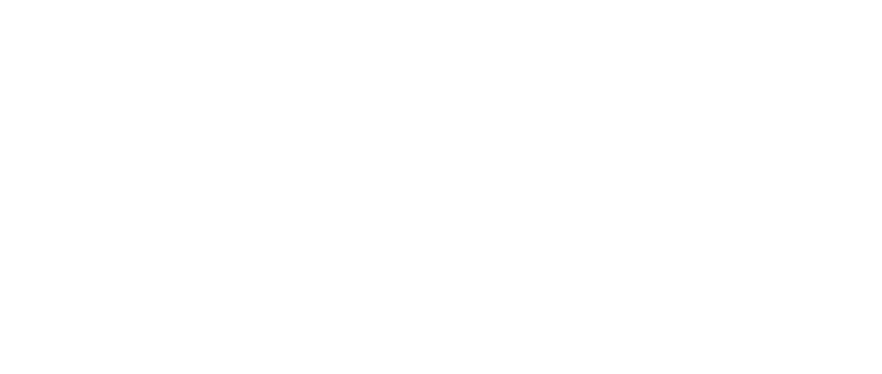 Watch The Blind Side