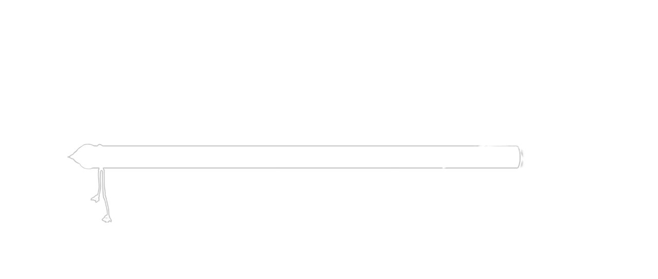 Watch Chhota Bheem aur Krishna