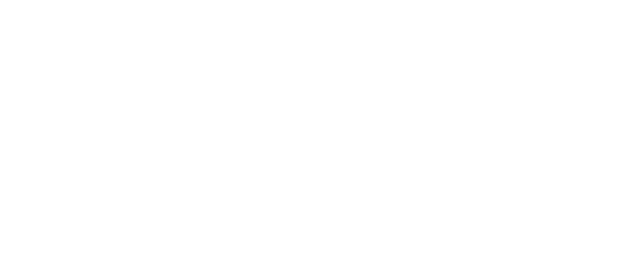 FireWolfBoy