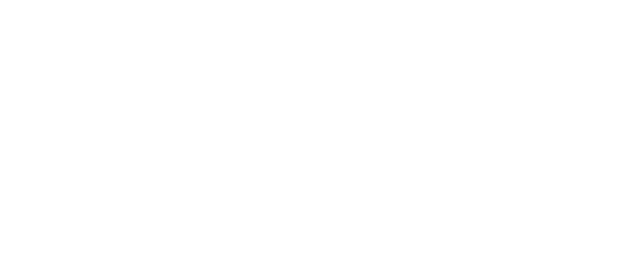 スタントウーマン ハリウッドの知られざるヒーローたち Netflix