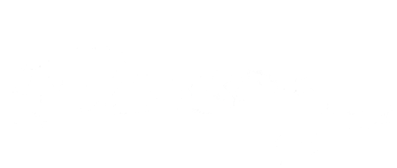 Oldboy Netflix