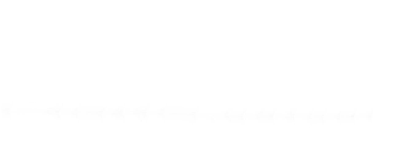 black out logo