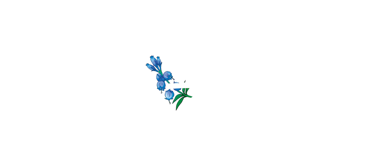 Watch Mary and The Witch s Flower Netflix