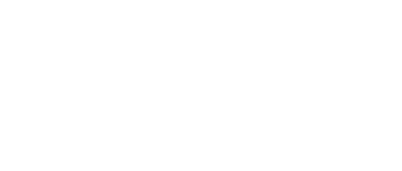 Best of Times USA