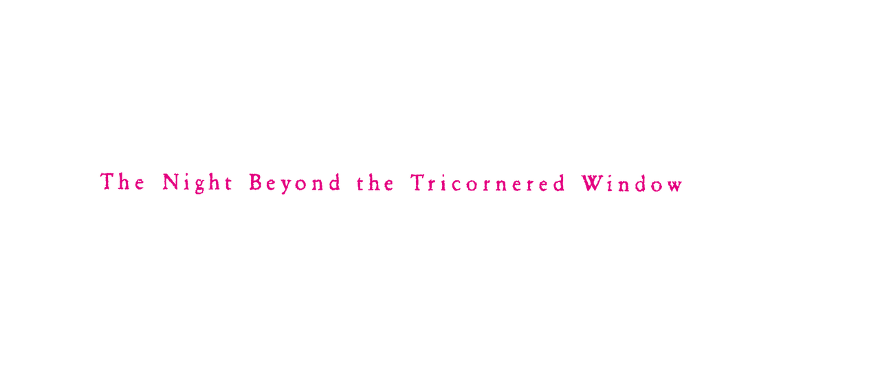 さんかく窓の外側は夜 Netflix