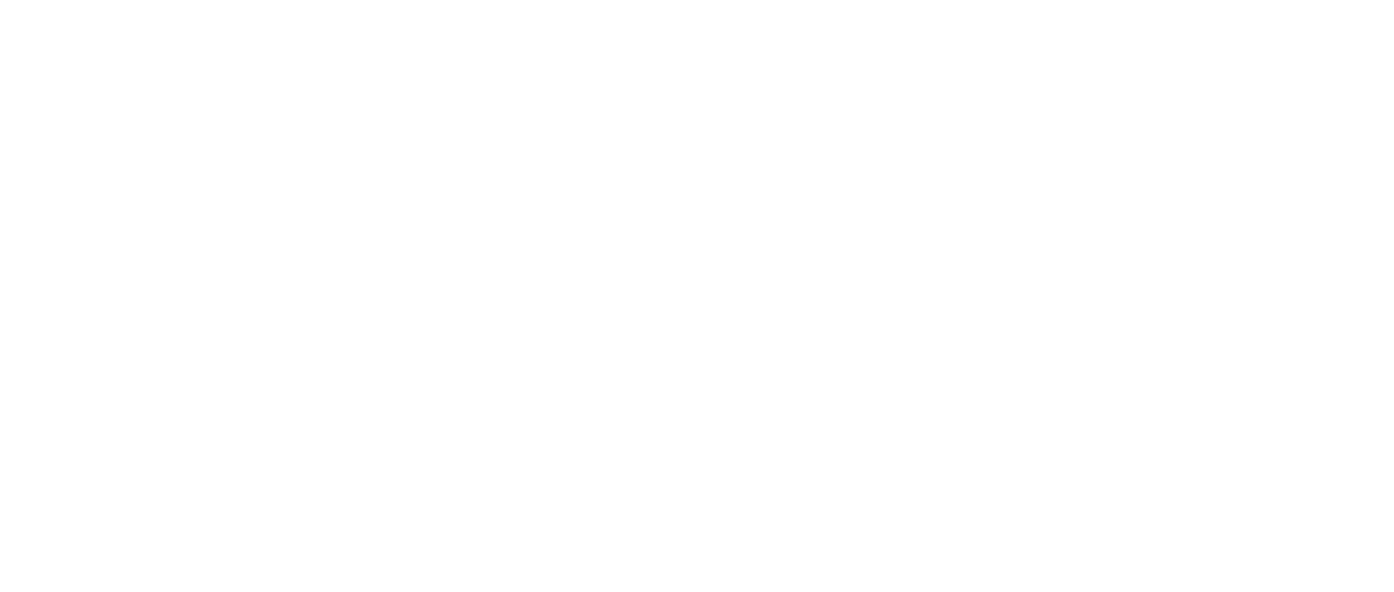 Watch Last Holiday Netflix