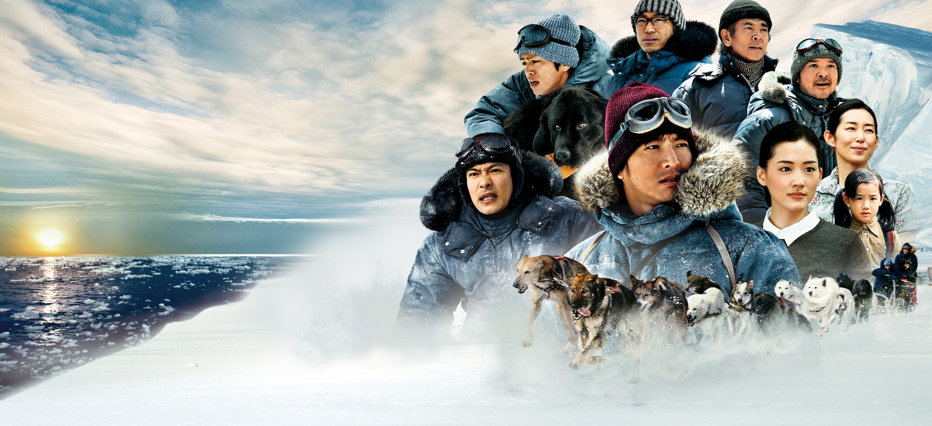 南極大陸﻿を観﻿る | Netflix