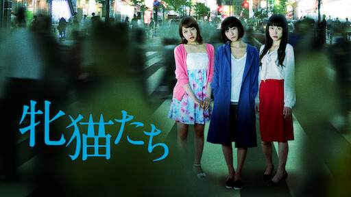 Call boy japanese drama english subtitles download hot sale