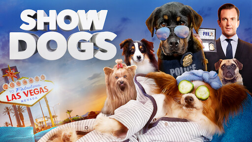 Netflix shows for store dogs