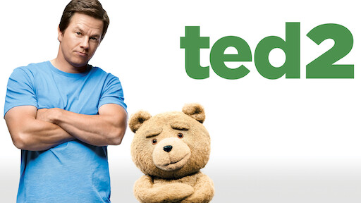 Netflix cheap teddy bear