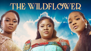 Latest nigerian movies 2018 full online movie