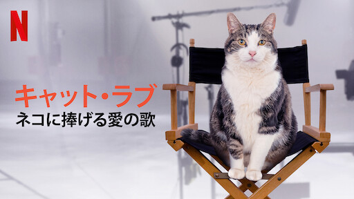 キャット ラブ ネコに捧げる愛の歌 Netflix ネ ッ ト フ リ ッ ク ス 公 式サ イ ト