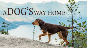 a dog's way home full movie online free