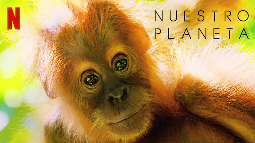 David Attenborough Una Vida En Nuestro Planeta Sitio Oficial De Netflix