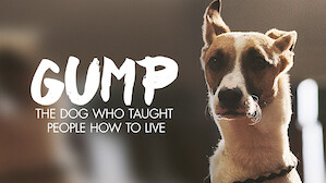 European Movies Tv Netflix Official Site