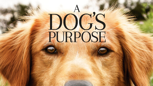 a dogs purpose torrent