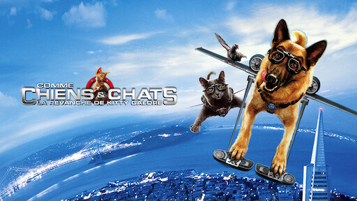 Comme Chiens Et Chats Netflix Comme Chiens Et Chats Netflix