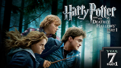 Harry Potter And The Sorcerer S Stone Netflix