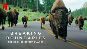 Nature Ecology Documentaries Netflix Official Site