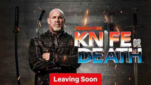 Watch Forged in Fire Netflix