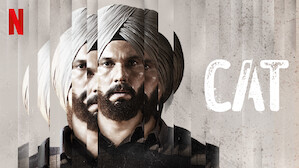 Punjabi Movies TV Shows Netflix Official Site