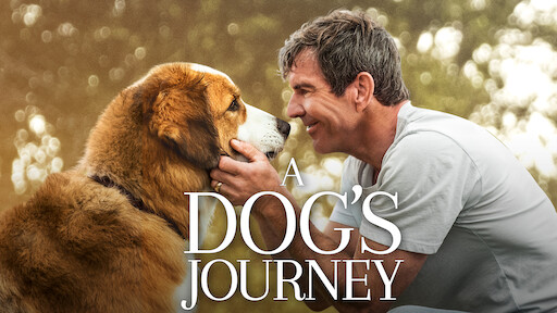 A dog's way deals home netflix